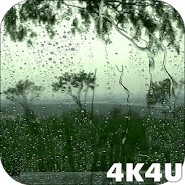 4K Rain logo