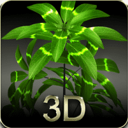 my 3d plant logo