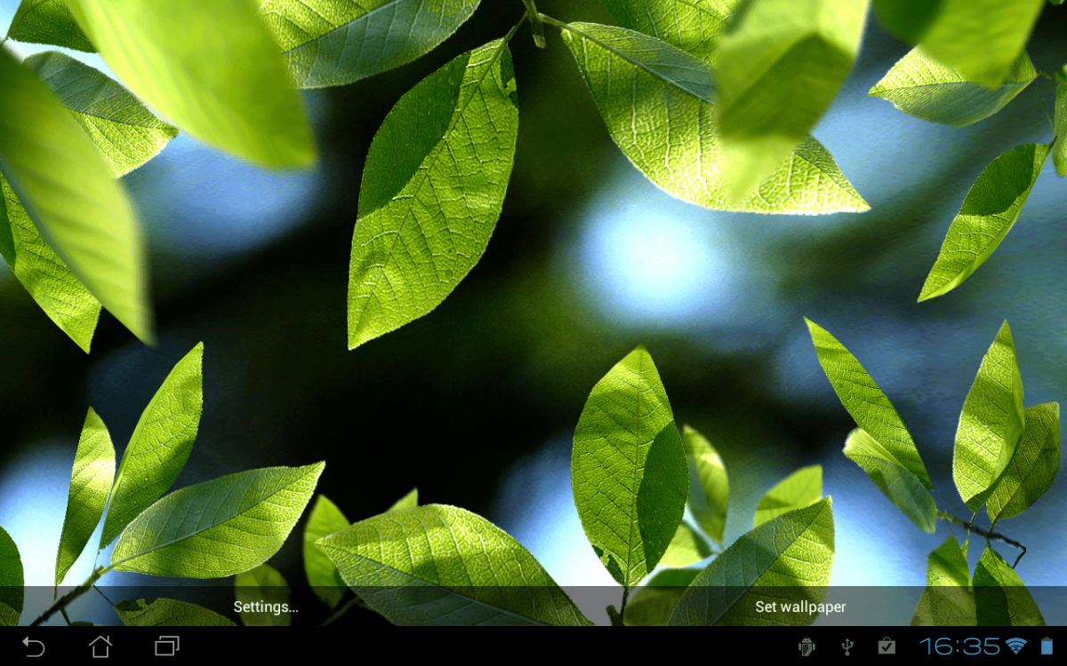 Leaves lives. Живые обои листья андроид. Fresh leaves. Живые обои со старых версий андроид листья. Fresh Leaf.