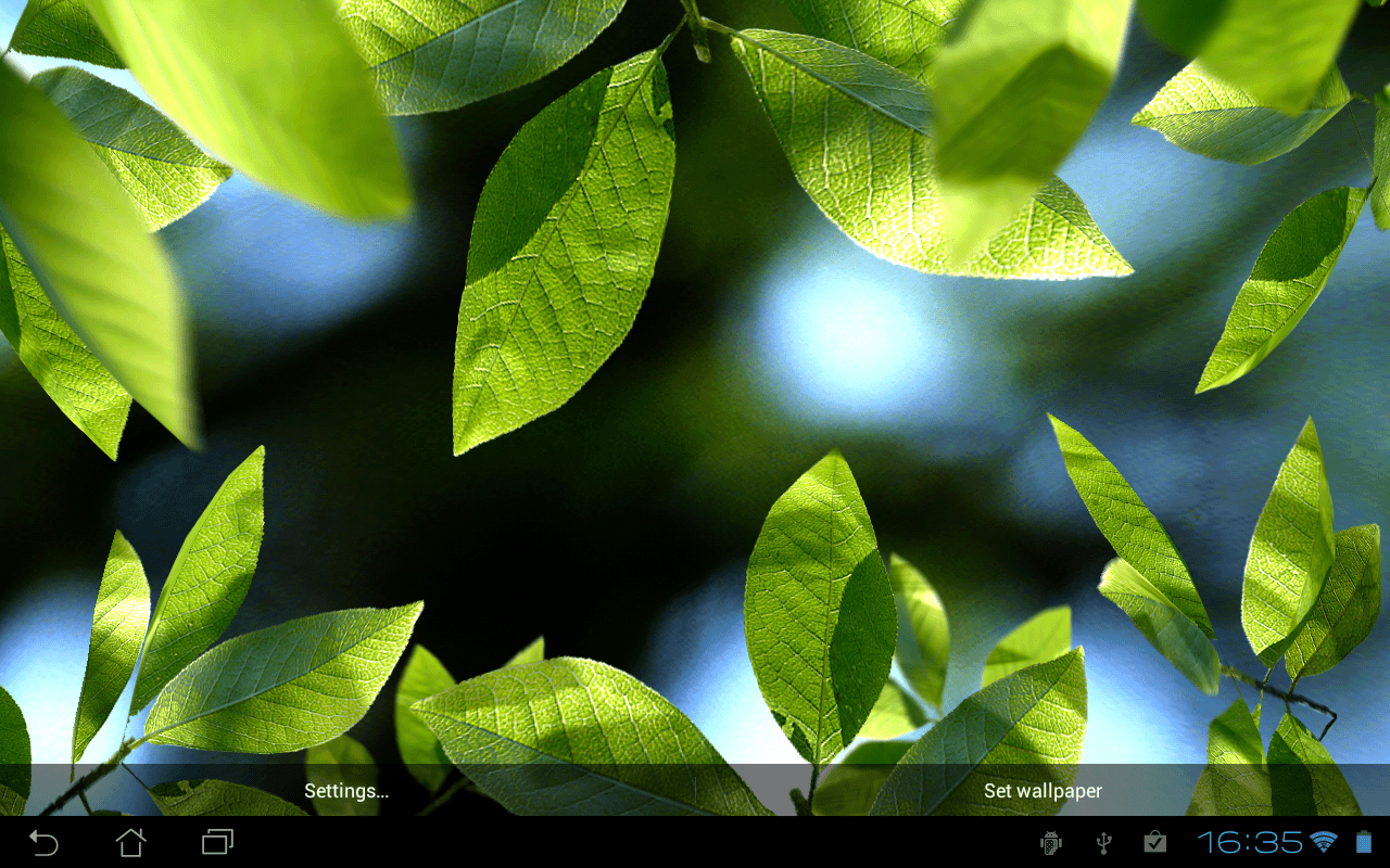 Лист живая природа. Живые обои листья андроид. Fresh leaves. Живые обои со старых версий андроид листья. Fresh Leaf.