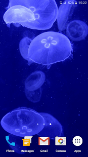jellyfish скриншот 4