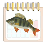 Календарь рыбака logo