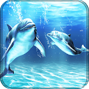 Дельфины logo