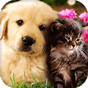 Кошки и Собаки logo