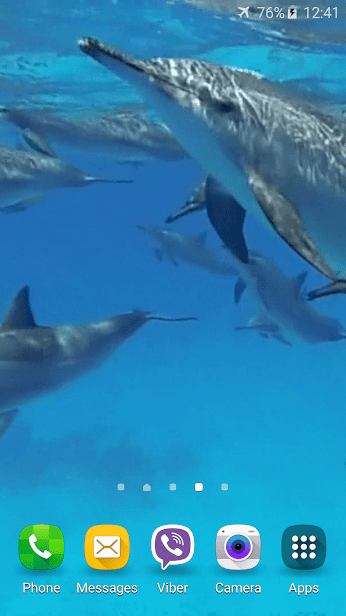 Дельфины со звуком скриншот 2