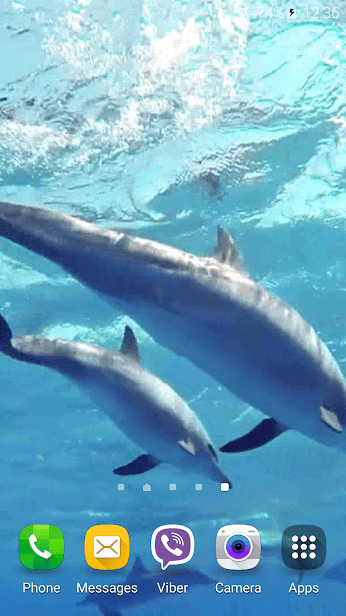 Дельфины со звуком скриншот 3