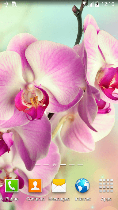 Орхидеи скриншот 3