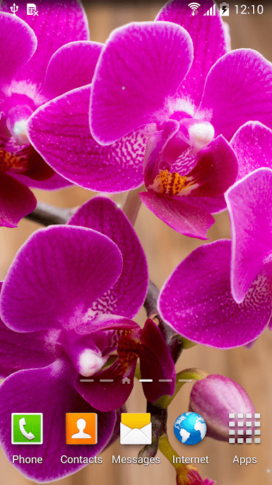 Орхидеи скриншот 4