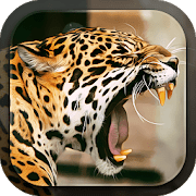 Леопард logo