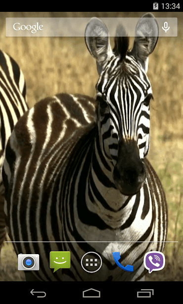 Животные Африки скриншот 4