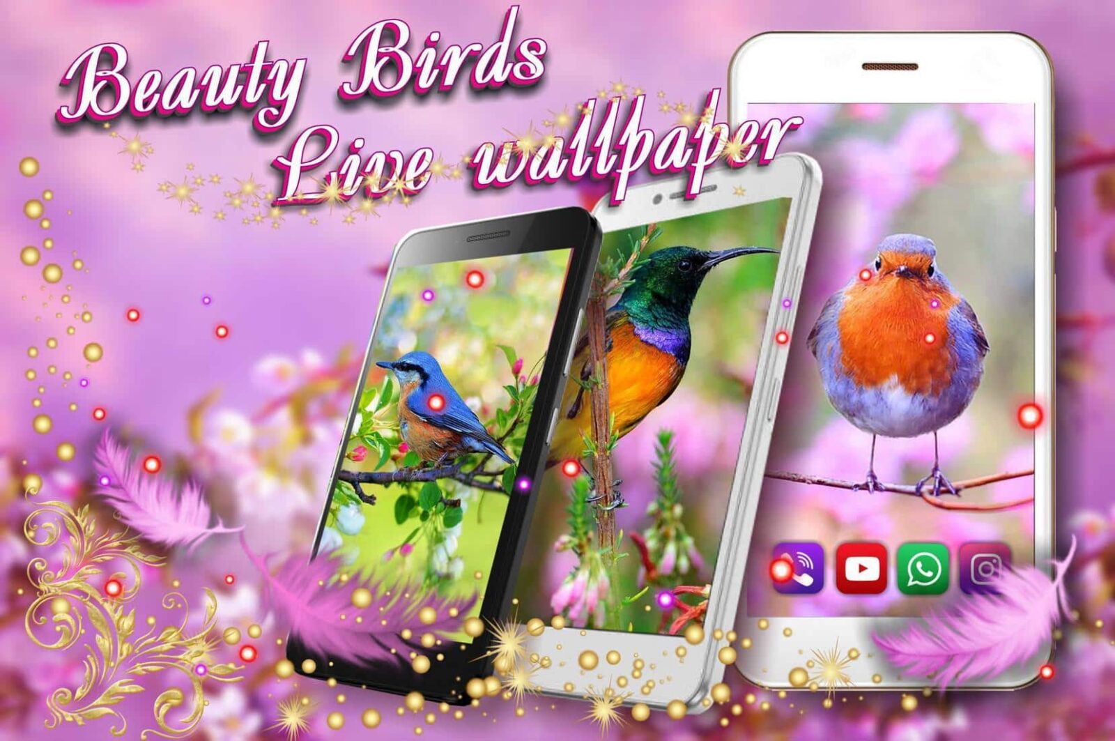 Песни птицы живых. Птичка приложение на андроид. Птицы для смартфона. Обои на андроид птички. Птичка Живая на экране телефона.