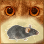 Мышь на экране для кота logo