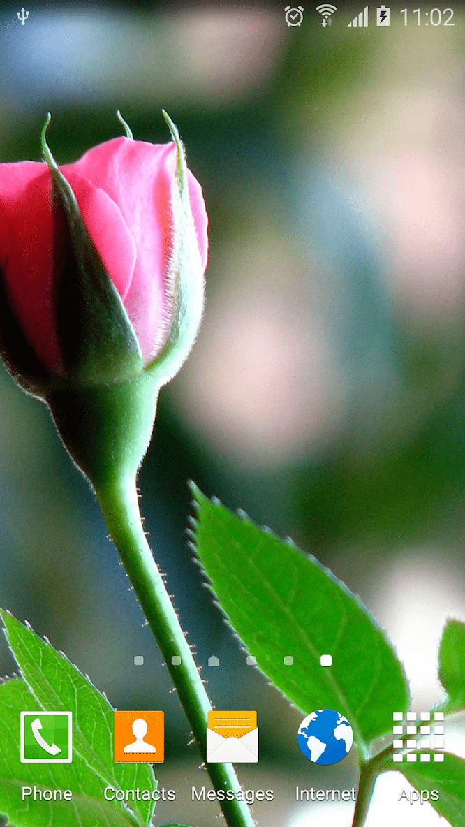 Розы скриншот 3