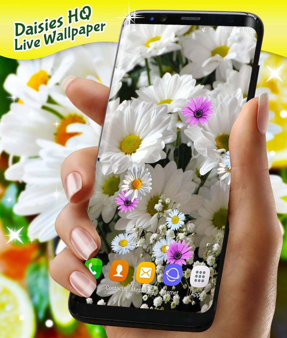 Live Wallpaper 3D Daisy Spring Field Themes скриншот 1