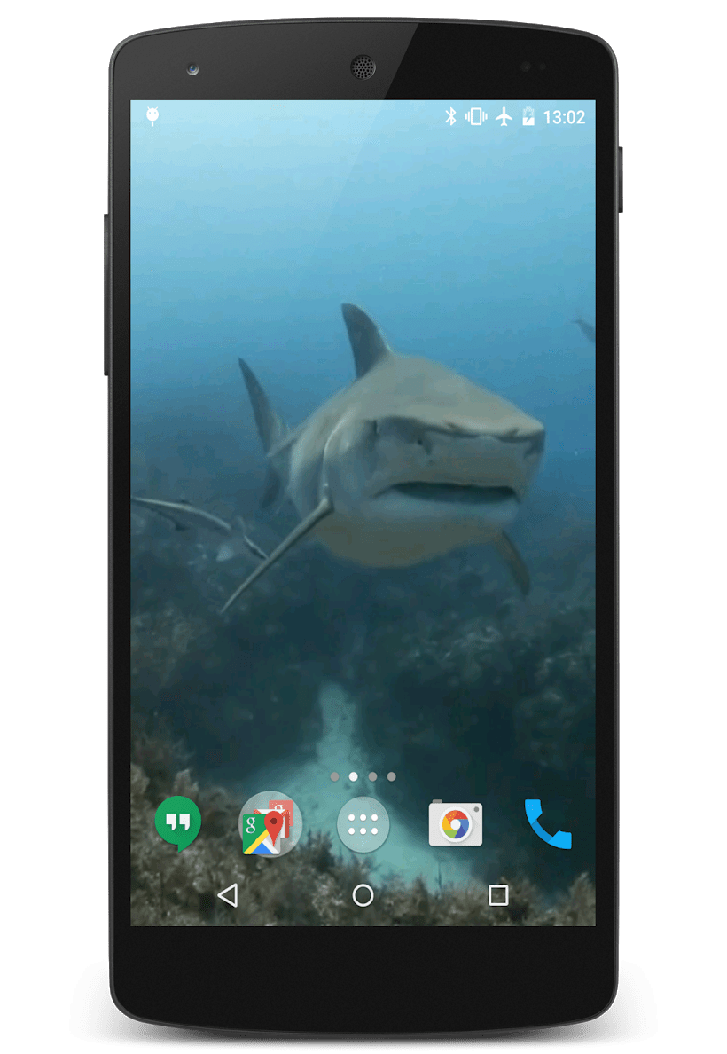 Акулы видео скриншот 1