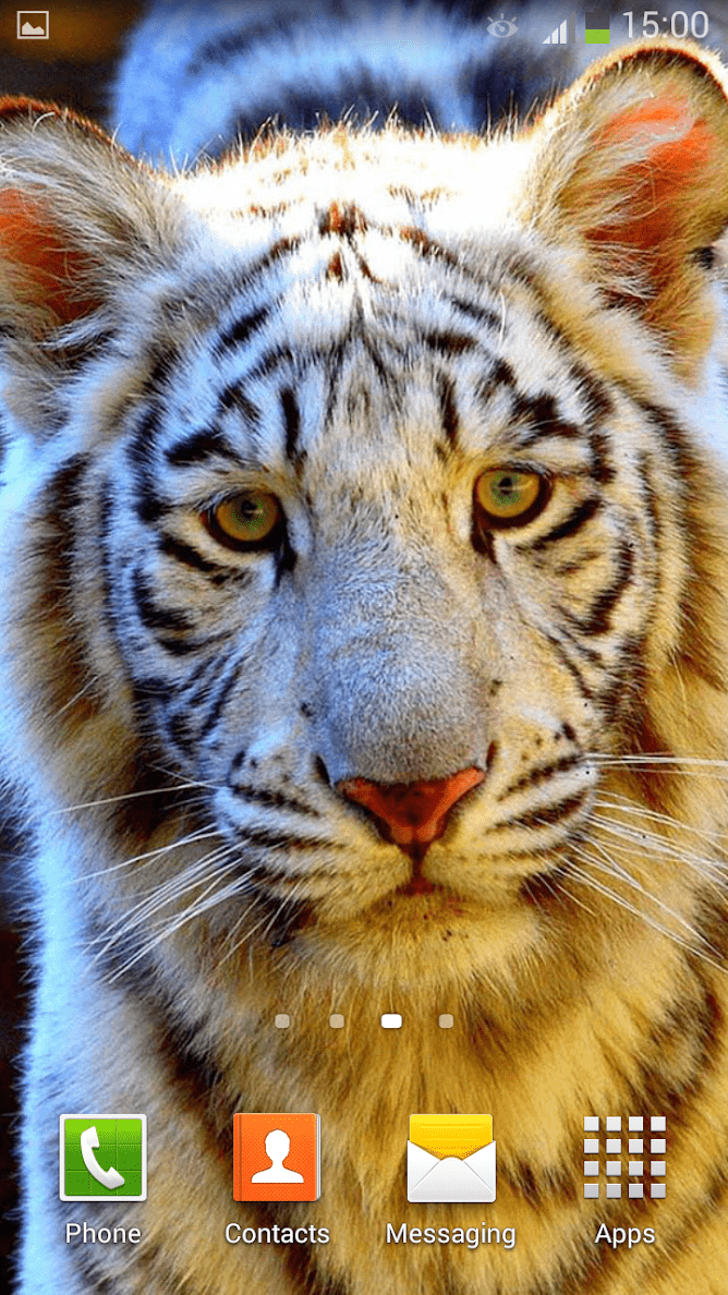 Белый Тигр скриншот 3