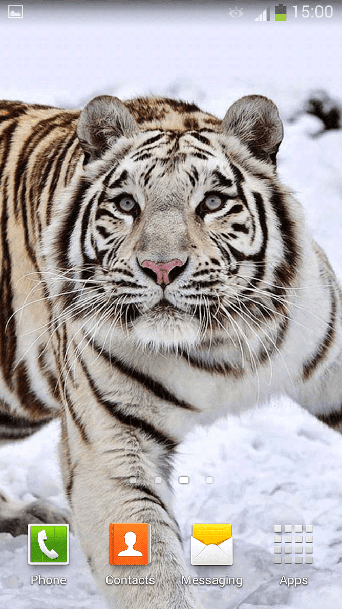 Белый Тигр скриншот 4