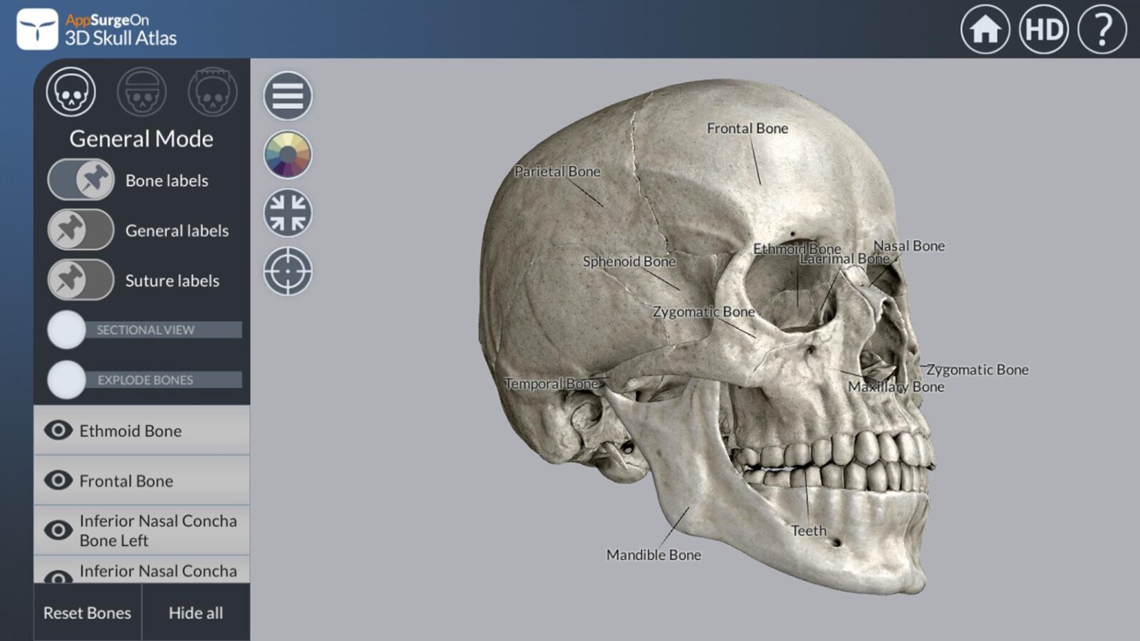 3D Skull Atlas скриншот 1