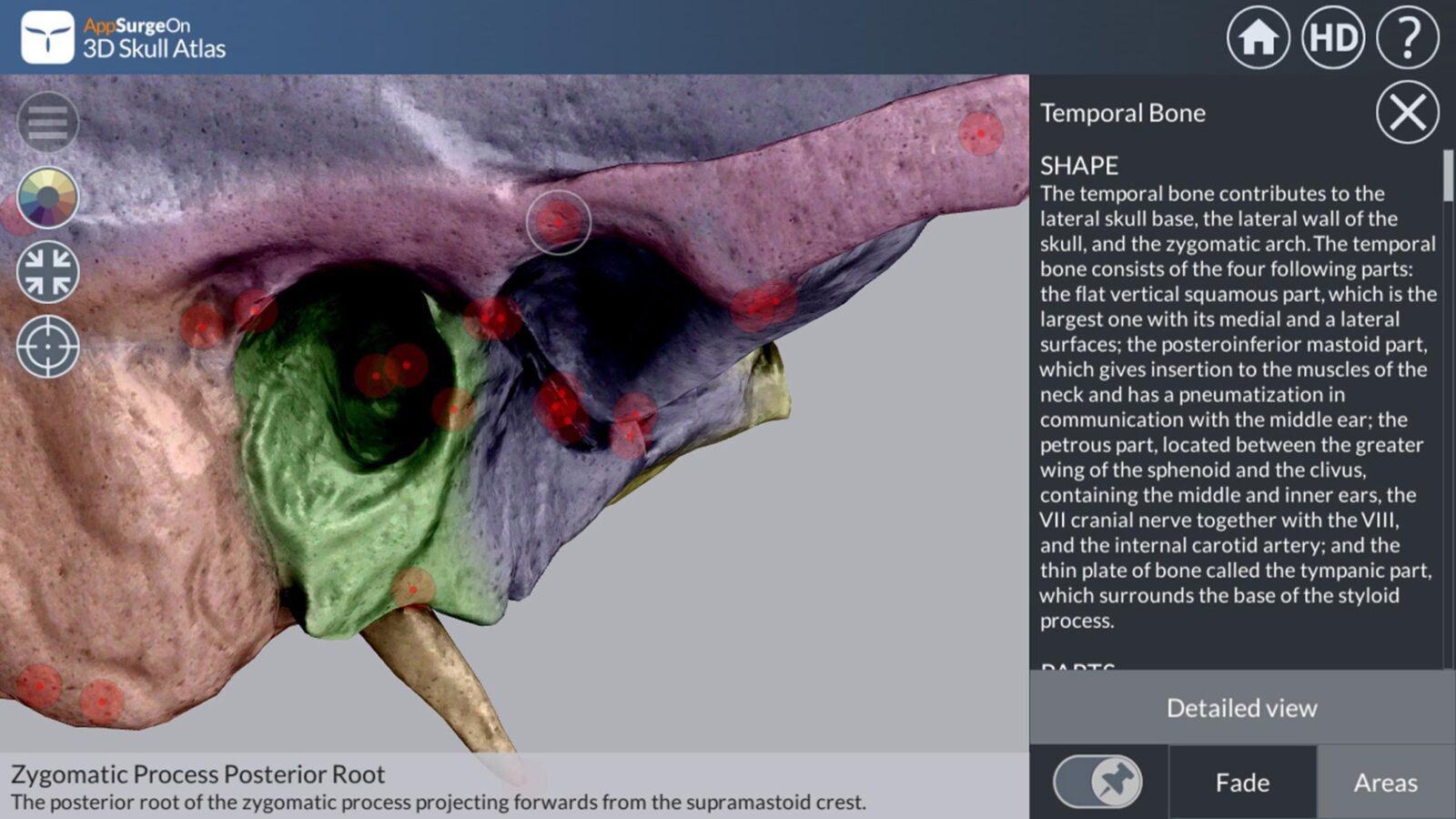 3D Skull Atlas скриншот 2