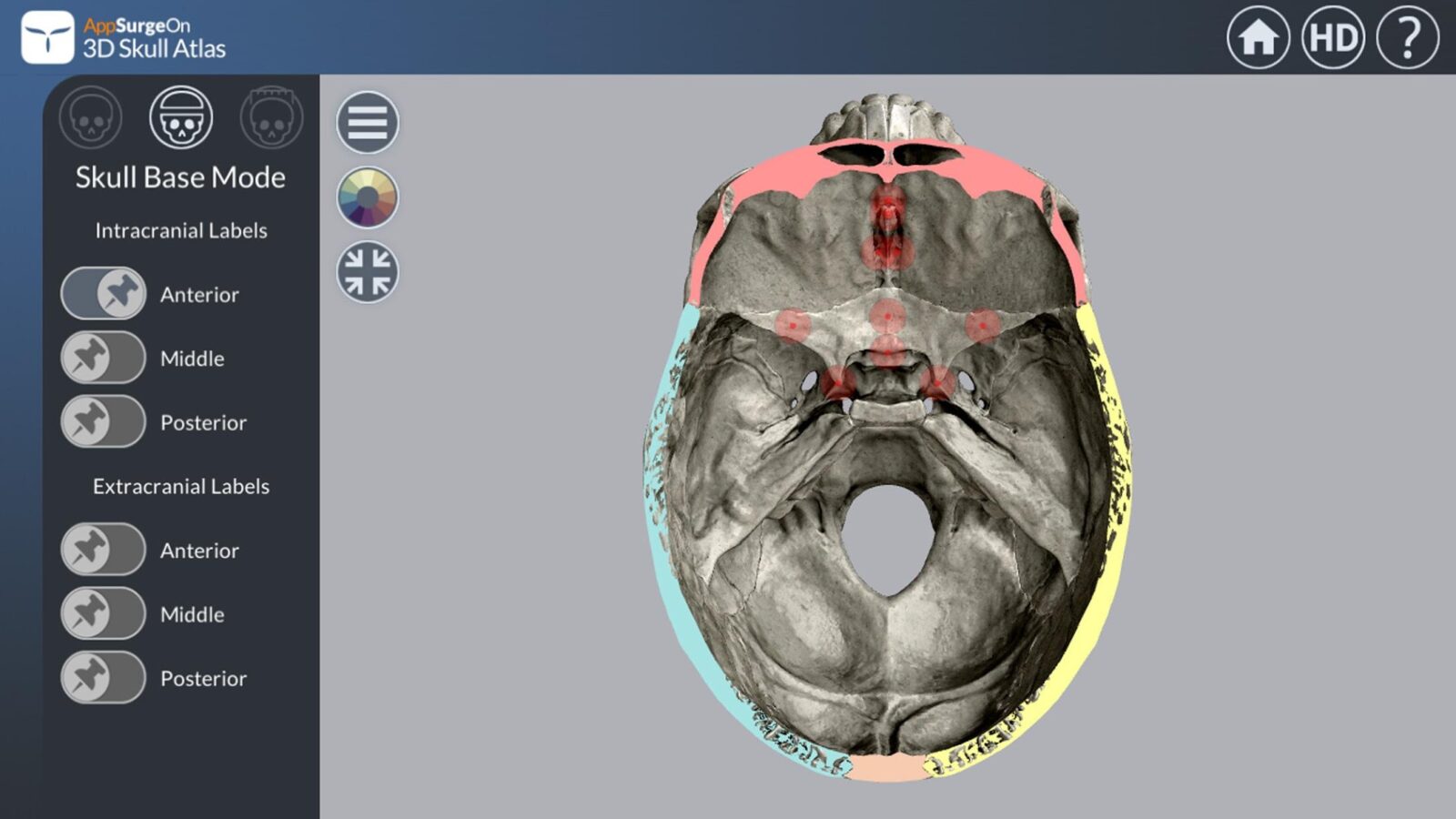 3D Skull Atlas скриншот 3