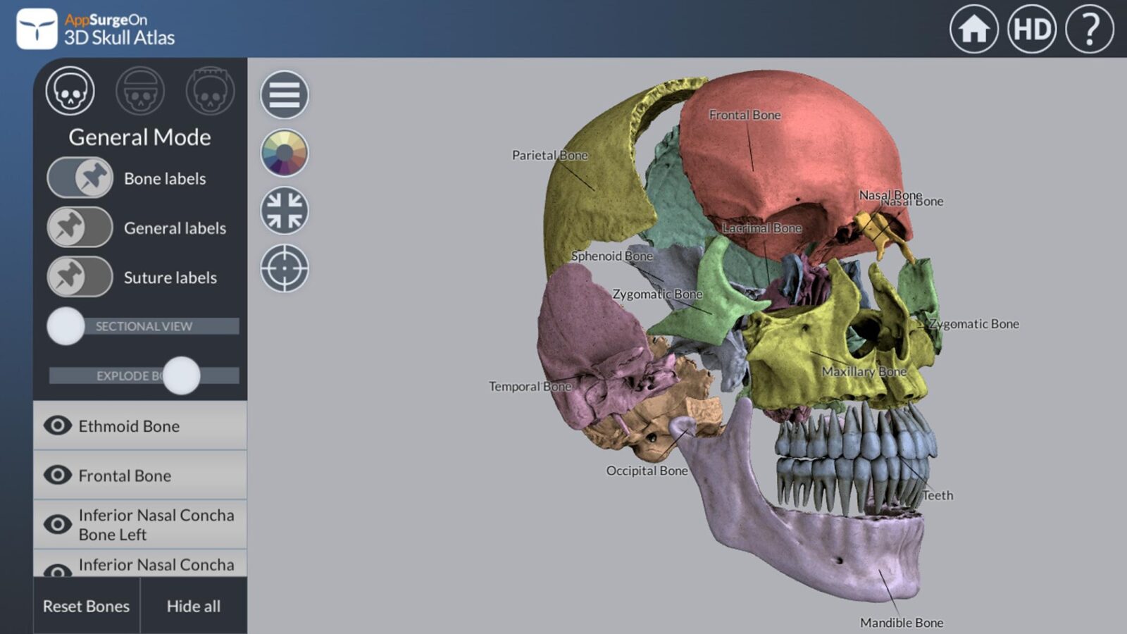 3D Skull Atlas скриншот 4