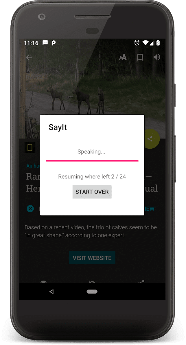 SayIt: Text, articles or books to speech скриншот 3