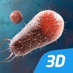 Бактерии, интерактивное 3D ВР logo