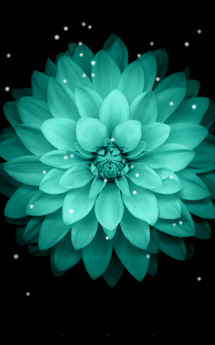Galaxy цветы скриншот 1