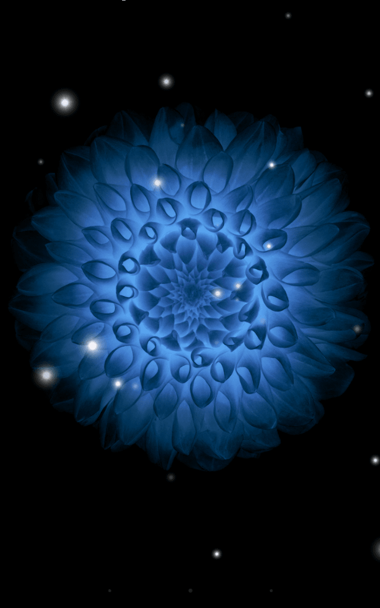 Galaxy цветы скриншот 3
