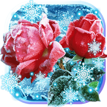 Розы Снег Зима logo