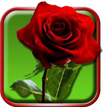 Розы 3D logo