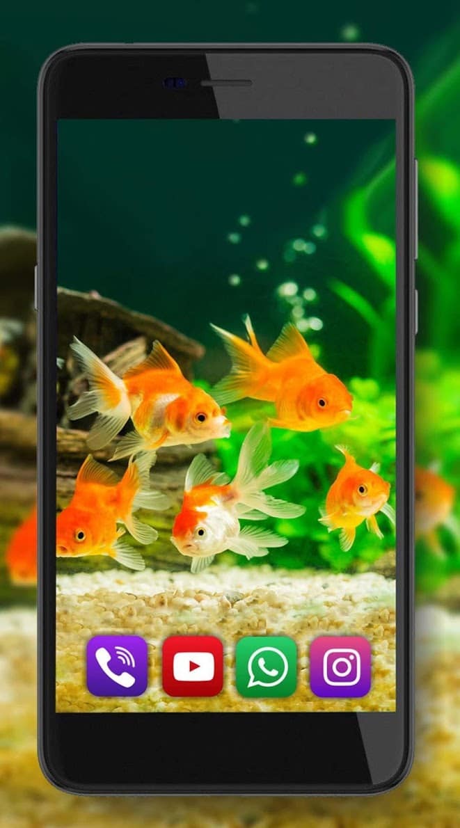 Аквариум Золотой Рыбки скриншот 3