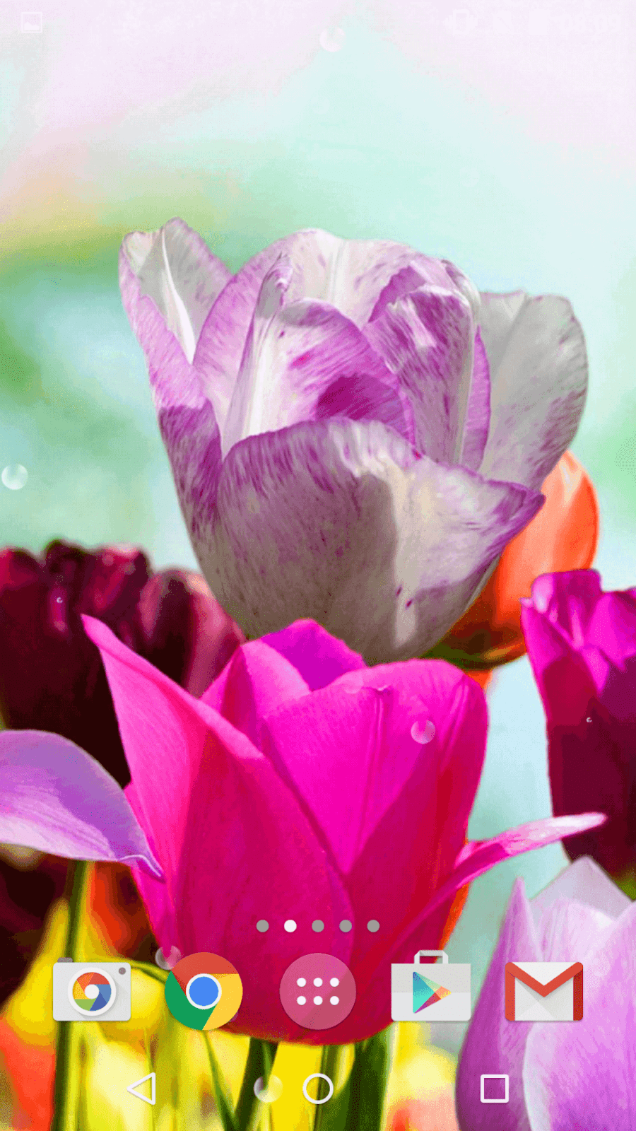 Весна, цветы обои 3Д - Природа ХД скриншот 1