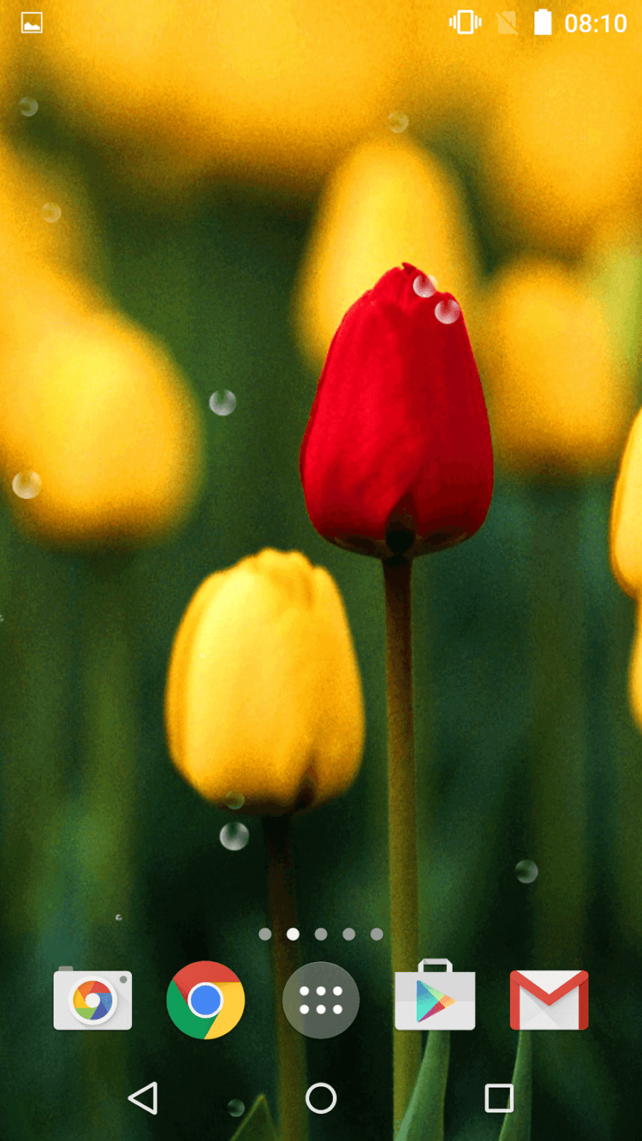 Весна, цветы обои 3Д - Природа ХД скриншот 2