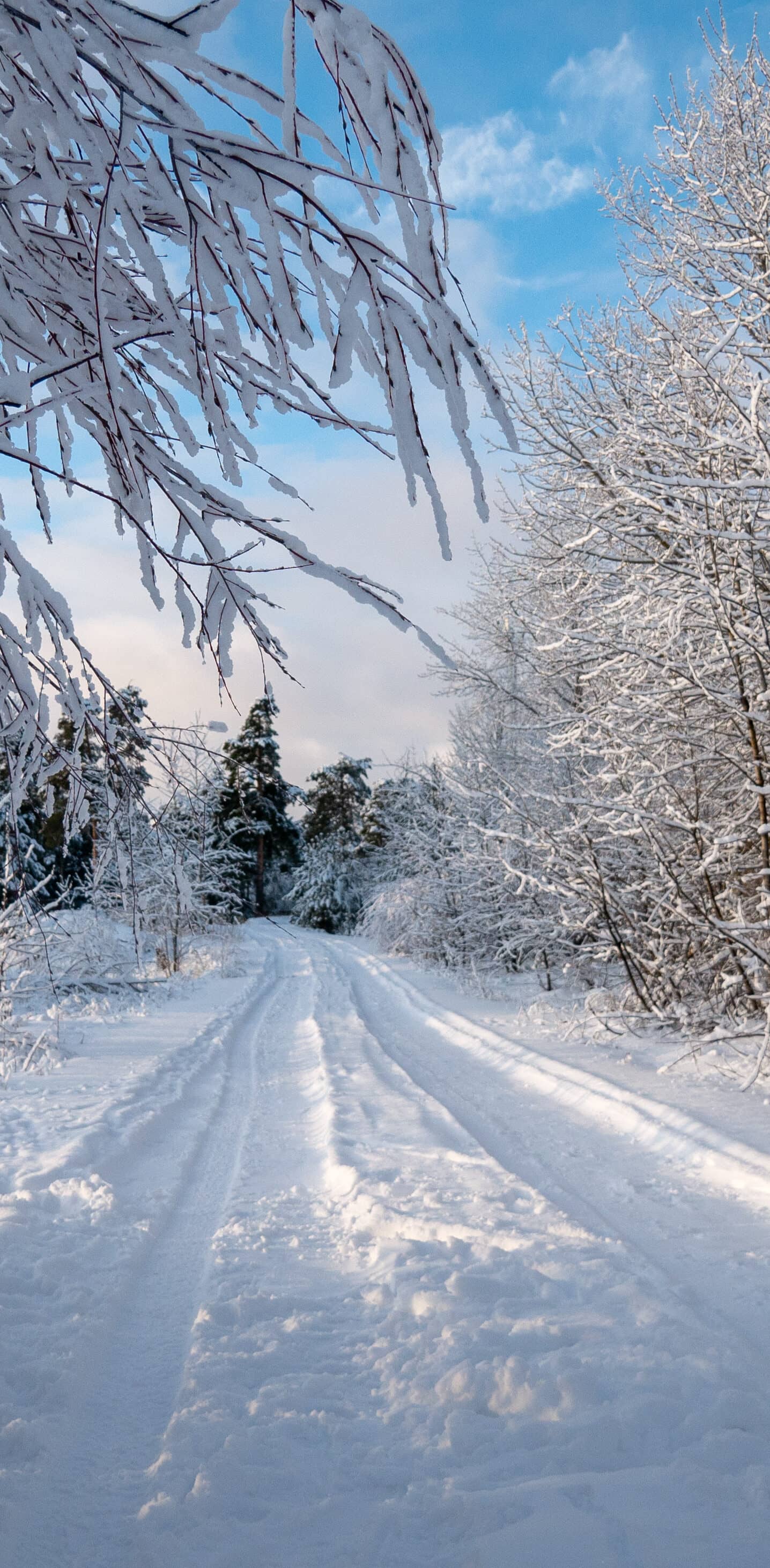 Программа snow для андроид