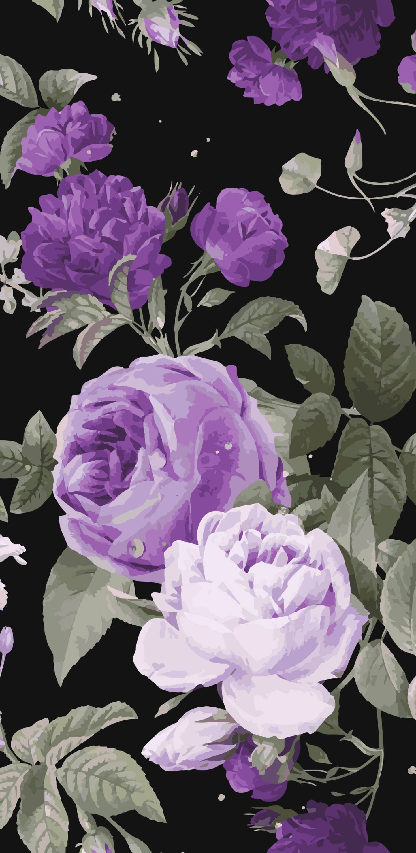 Обои розы фиолетовые