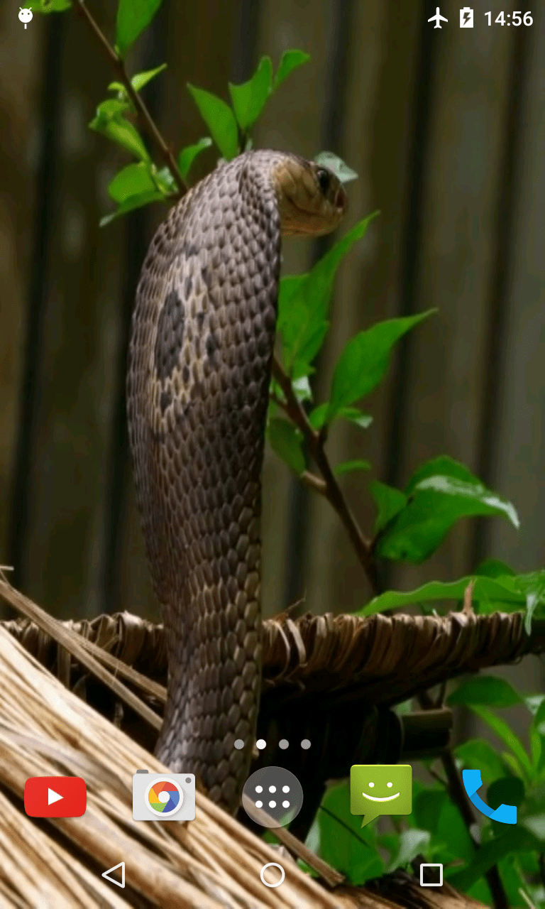 Kobra video скриншот 2