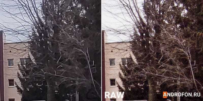 Сравнение фото и фотографии обработанного из raw файла.