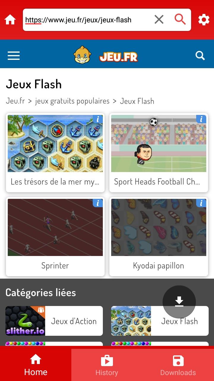 Flash browser скриншот 4