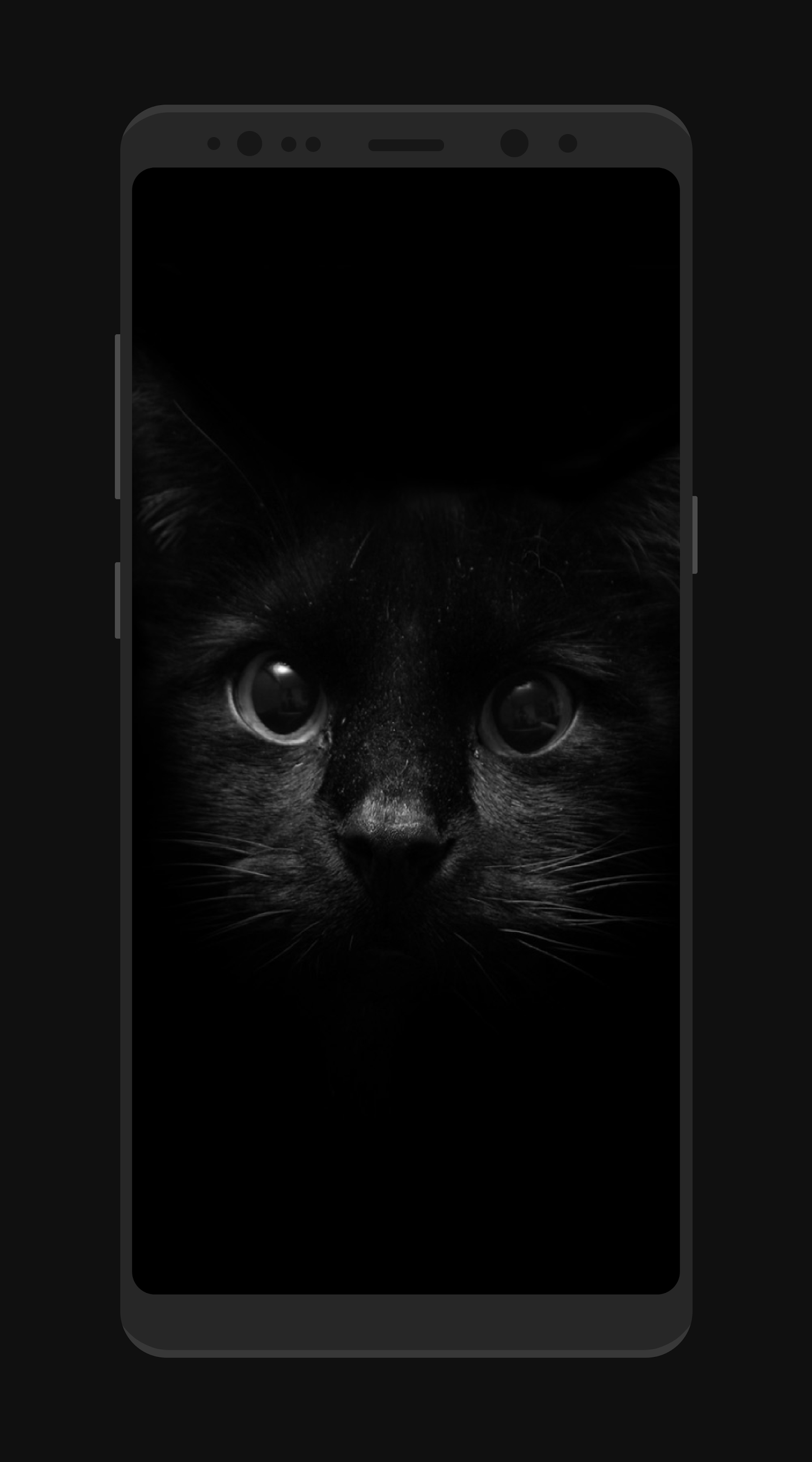 Blackwallpaper скриншот 3