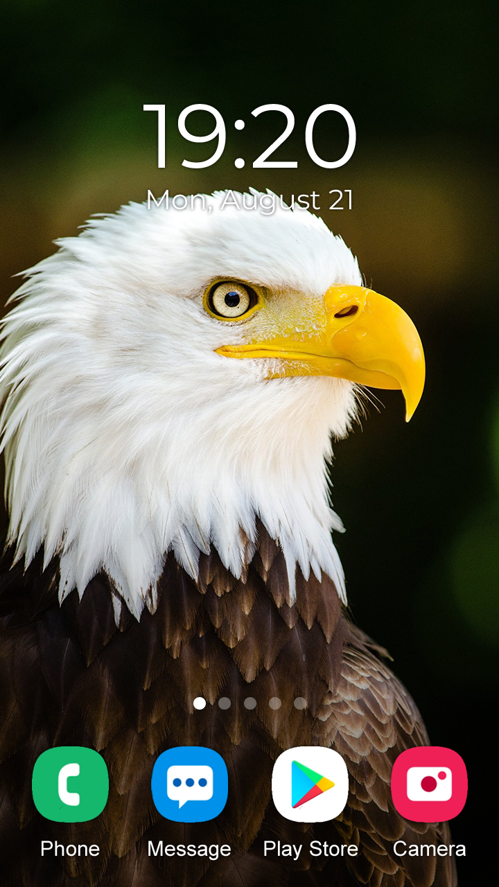 Eagle-1-260825 Eagle скриншот 1