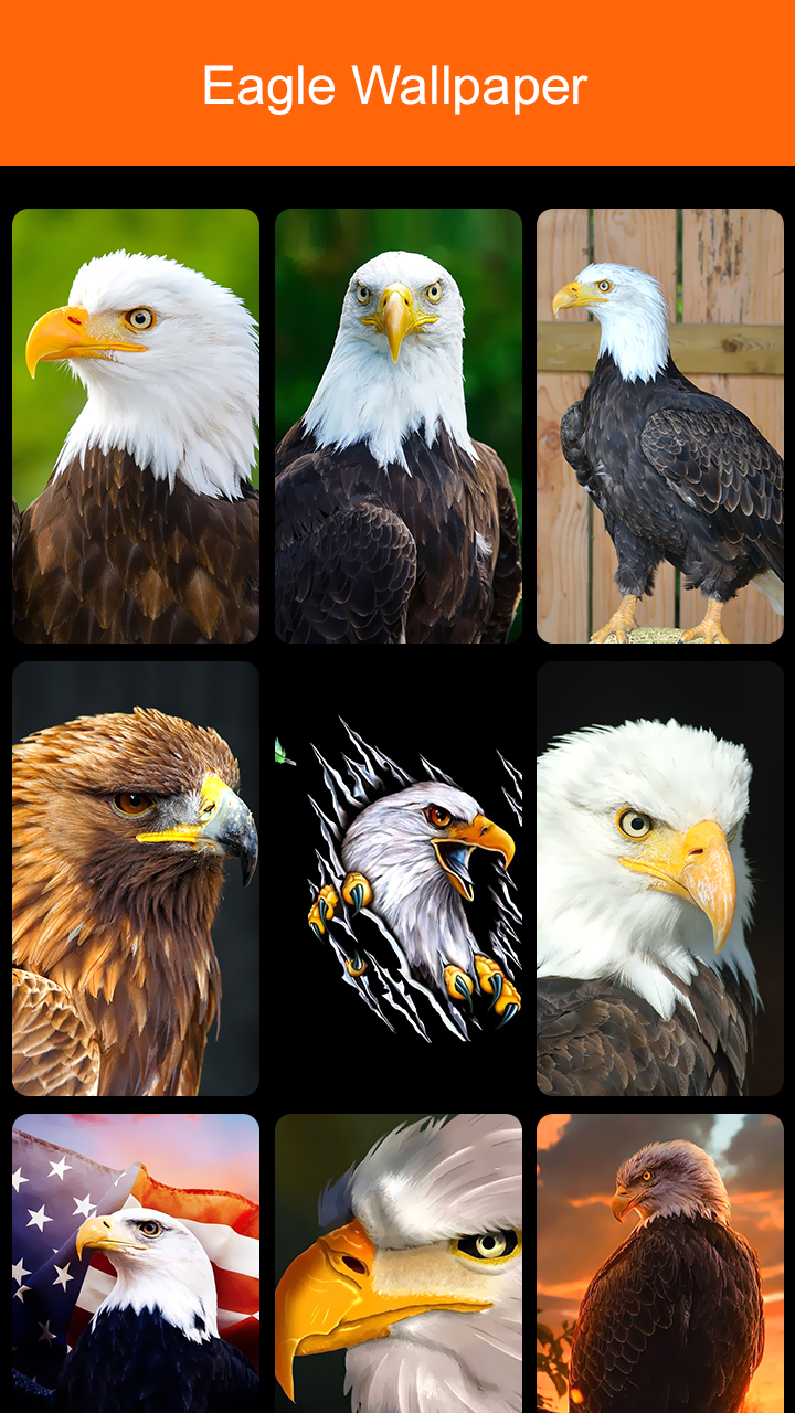 Eagle скриншот 2