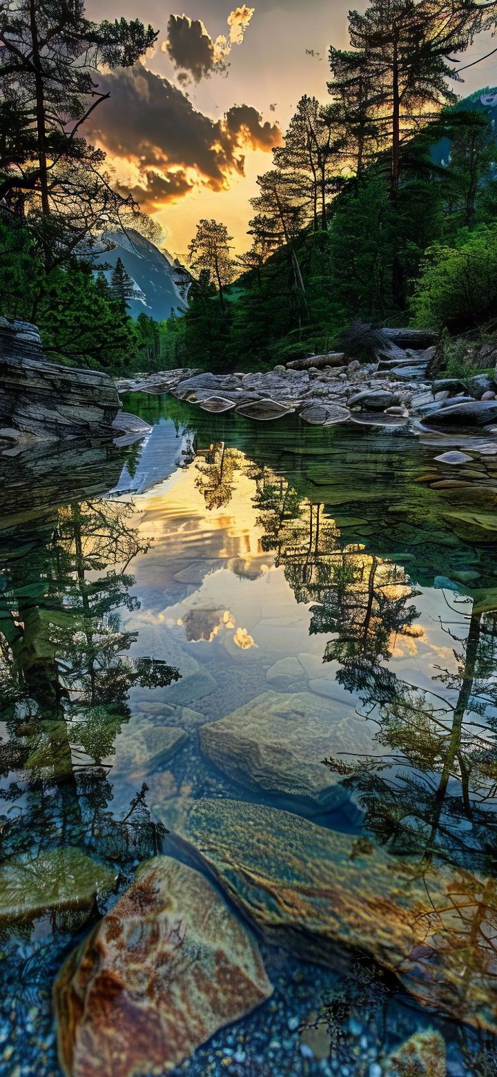 Zhivyeoboi4k-3-190825 Zhivyeoboi4k скриншот 3