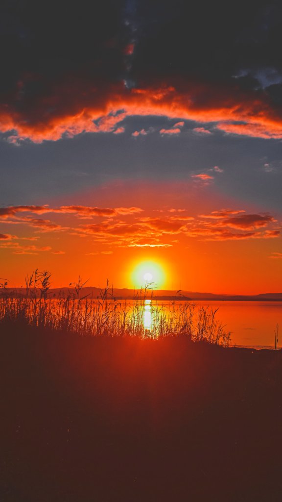 обои красный закат