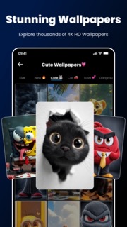 WallSnap скриншот 1