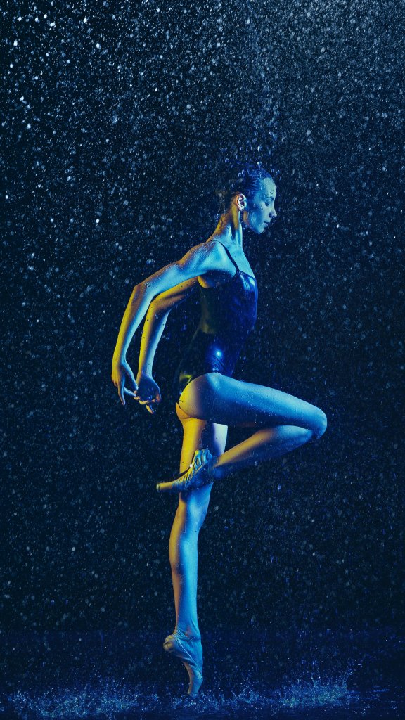 обои грация