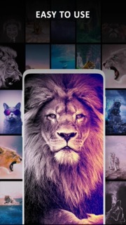 Background скриншот 3