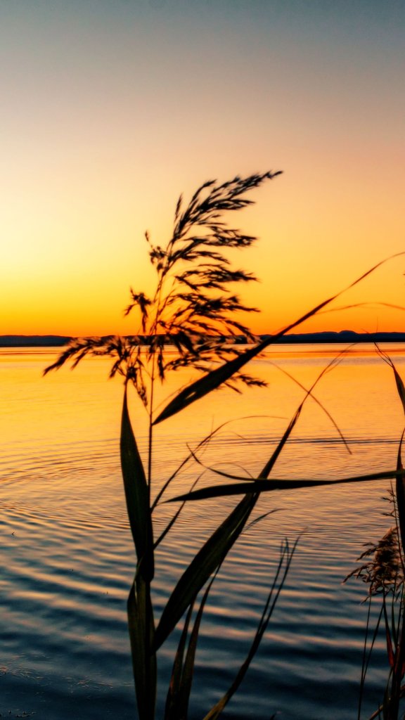  обои рассвет над озером