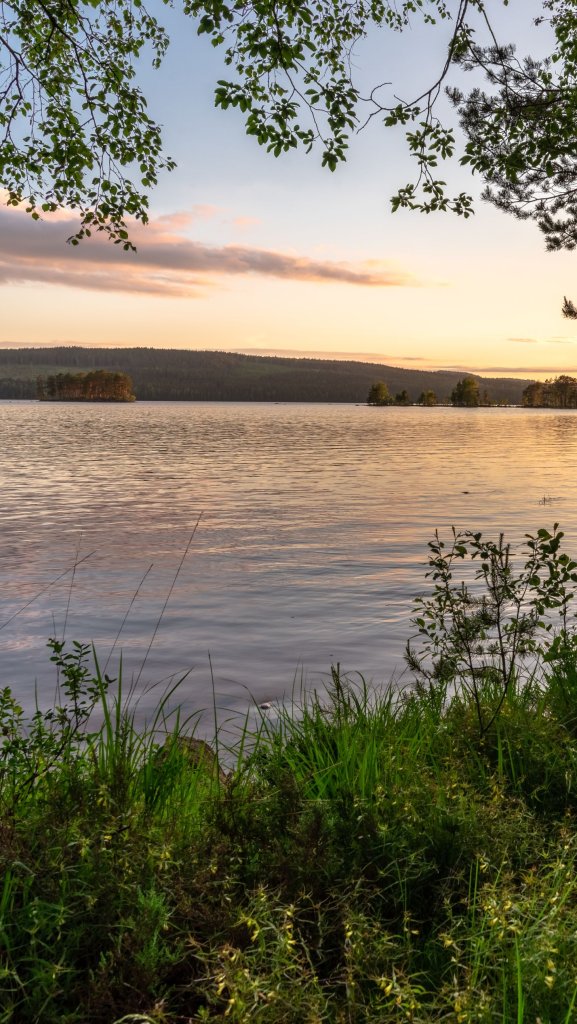 обои утро на озере