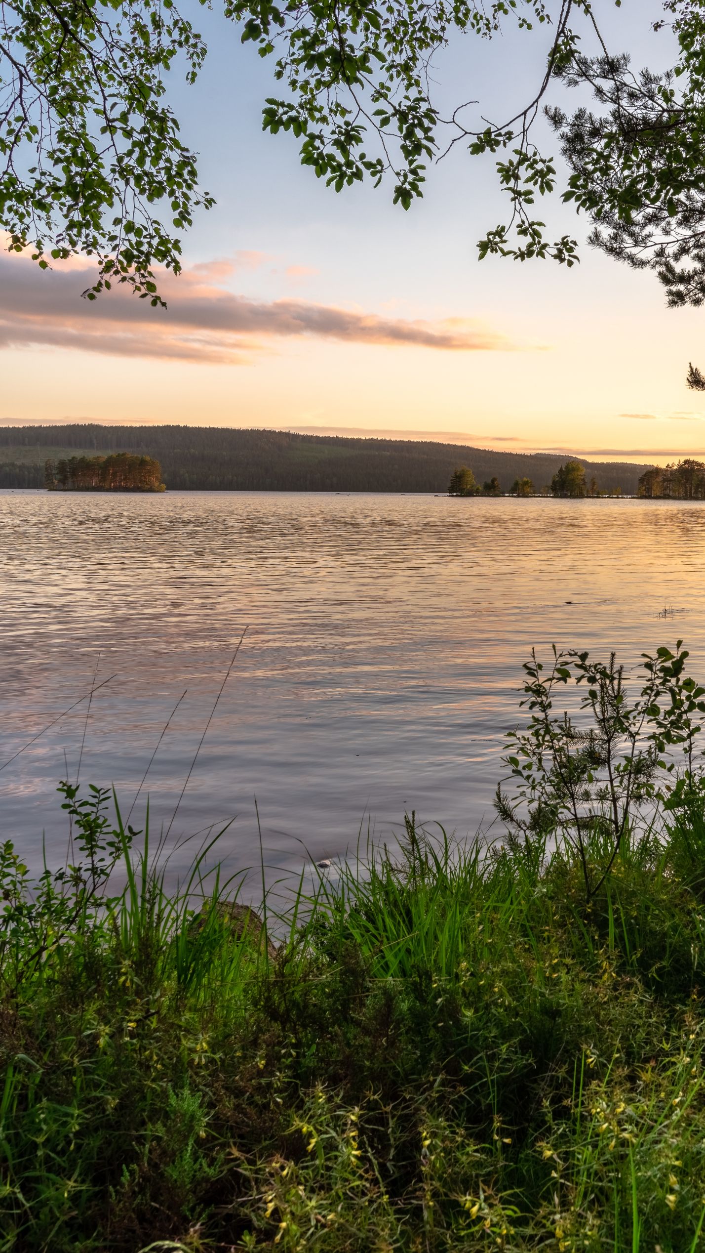 обои утро на озере